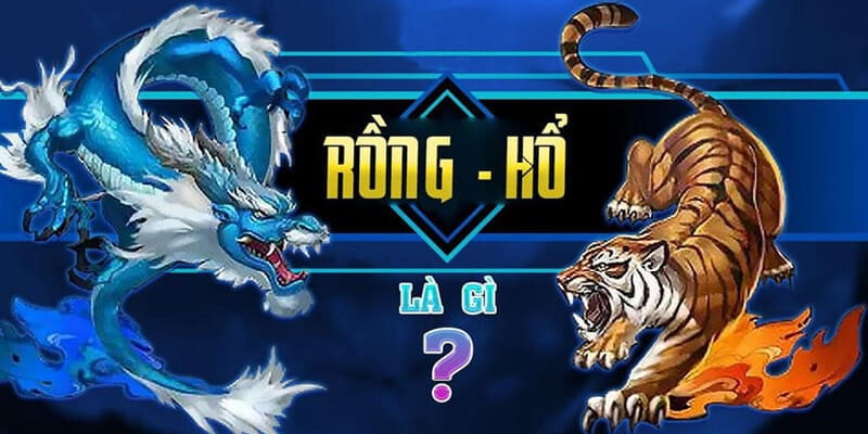 Tìm hiểu game Rồng Hổ